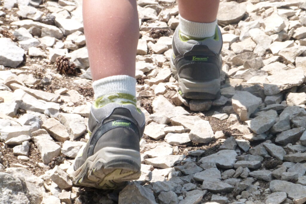 "Ta Parole est la lumière de mes pas, la lampe de ma route." (Ps 119)
Se mettre en chemin avec les célébrations de la Parole !