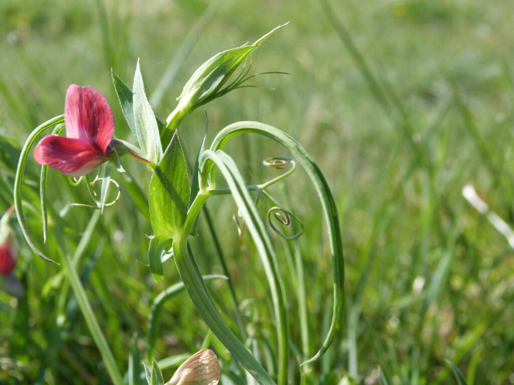 Même modestes, toutes les réflexions à partager enrichiront le débat et permettront d'avancer ensemble.