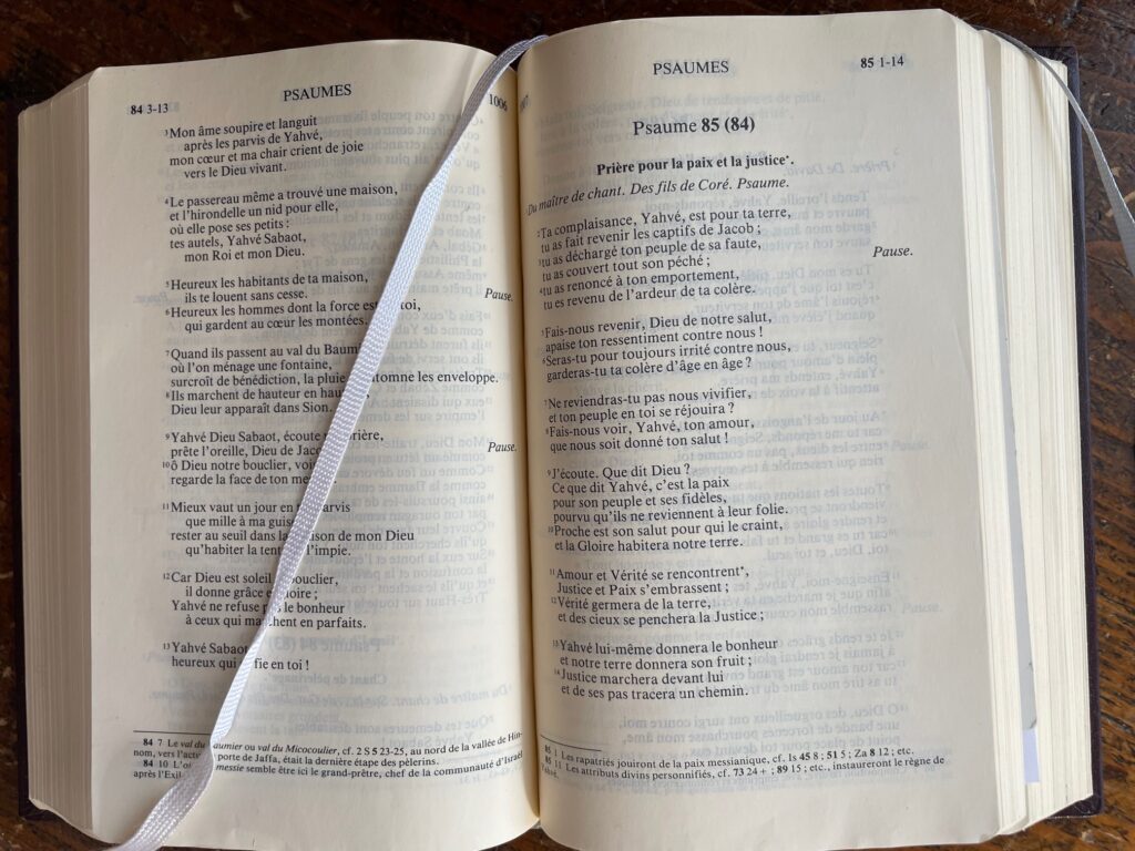 La Parole de Dieu nourrit ceux qui prennent le temps de la méditer chaque jour ! L'évangile est une source inépuisable de méditations.