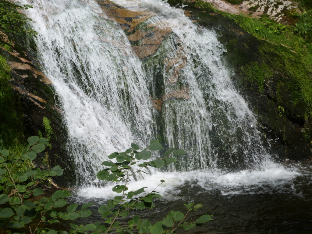"Au bord du torrent, sur les deux rives, toutes sortes d’arbres fruitiers pousseront ; leur feuillage ne se flétrira pas" (1° lecture)
Célébration de la Parole - Dédicace de la basilique de Latran