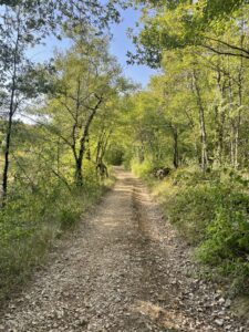 2° dimanche de l'Avent de l'Année A: Préparez les chemins du Seigneur, rendez droits les passages tortueux !