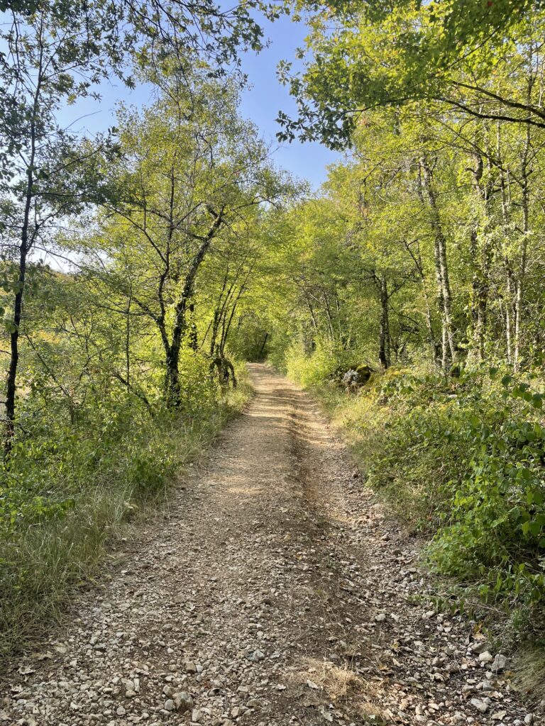 2° dimanche de l'Avent de l'Année A: Préparez les chemins du Seigneur, rendez droits les passages tortueux !