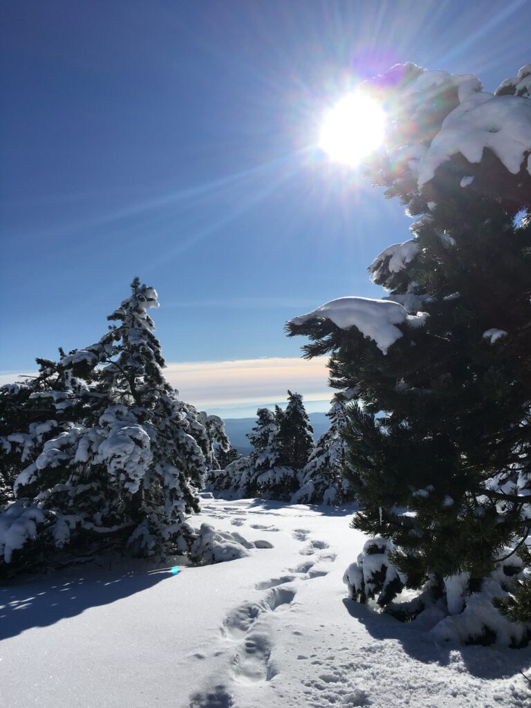 Tracer un chemin vers la joie à travers nos doutes, nos lourdeurs... sûrs que la lumière nous attend !