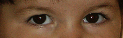 Un regard, des yeux ouverts pour reconnaître en Jésus le Christ, le Messie 