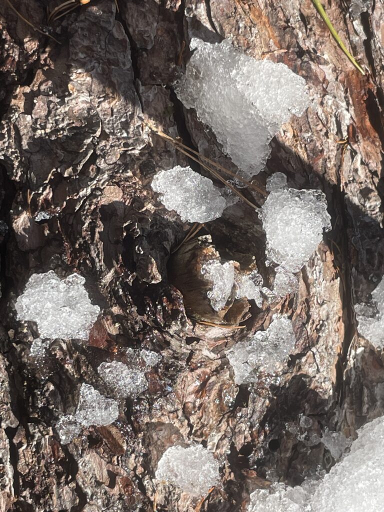 Notre incompréhension brouille souvent en nous la force de la Parole du Christ, mais nous pouvons le suivre... cahin cahan... mais toujours en nous laissant guider par l'Esprit !