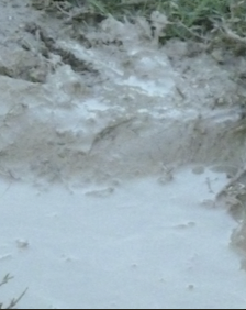 Il fit de la boue et l'appliqua sur les yeux de l'aveugle !