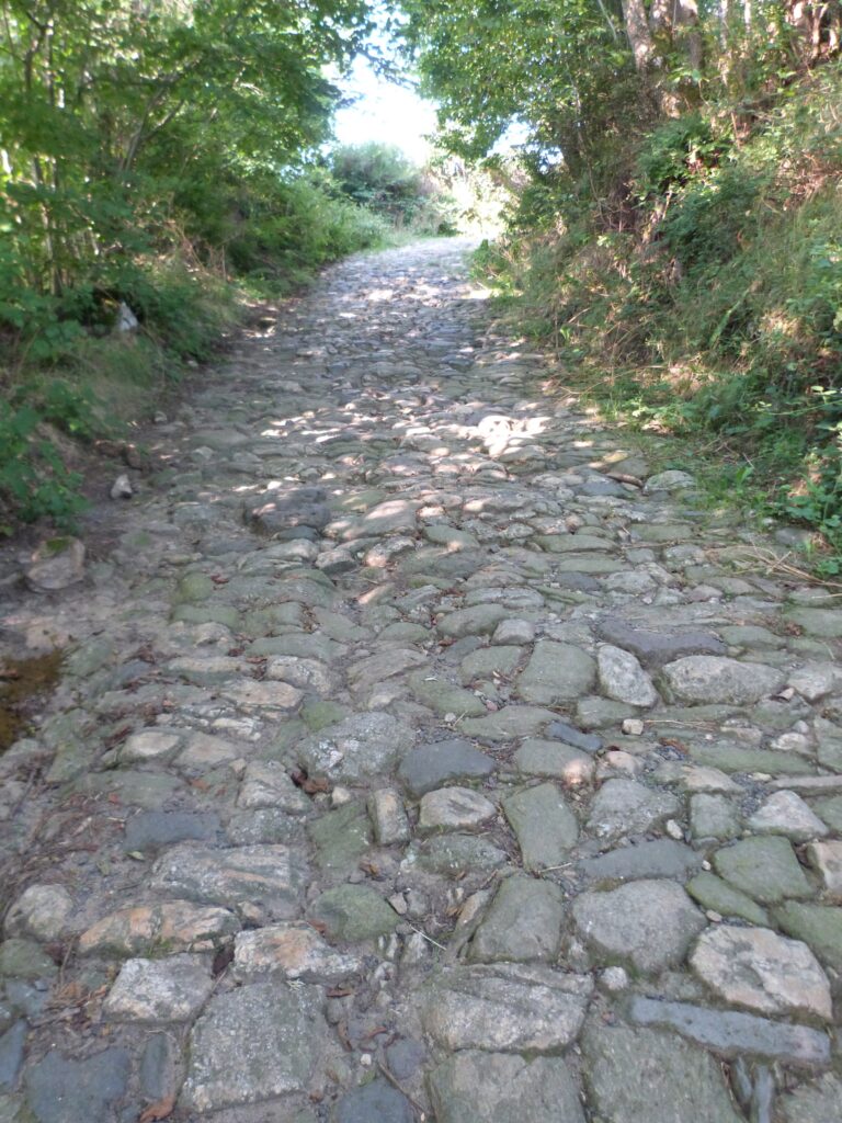 Le chemin d'Emmaüs est un chemin que chacun peut choisir de parcourir... malgré les pierres... sachant que le Ressuscité marche avec nous et nous précède. Chemin de délicatesse.